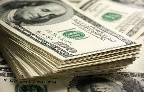 1 dolar 10 TL, gram altın 600 TL