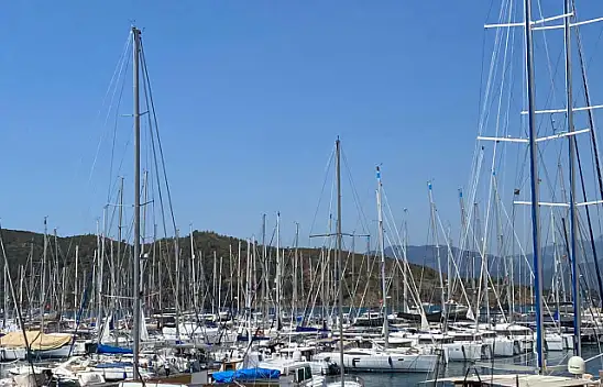 Arıkan 'Koylar şahısların olamaz'