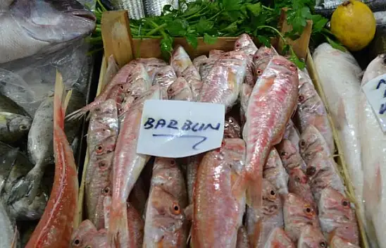 Balık fiyatları cep yakıyor