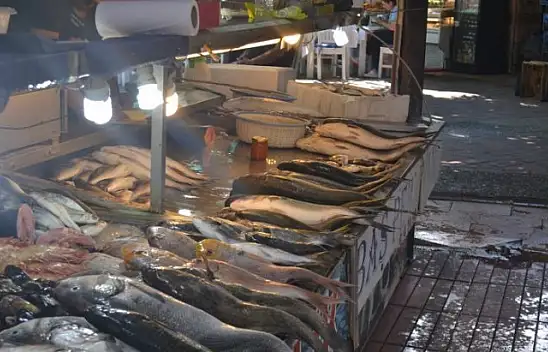 Balık fiyatlarının artışı mazota bağlı