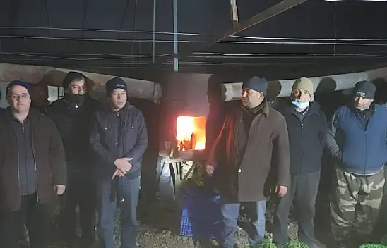 Çiftçilerin odun isyanı