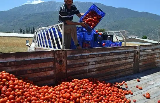 Domatesin Kasası 1 Tl