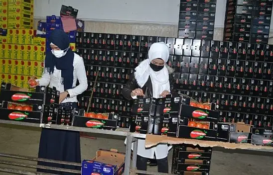 Domateste kota artışı fiyatlara yansıdı mı?