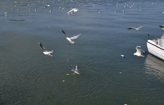 Fethiye'de yaz havası