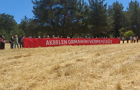 İkizköy Akbelen Ormanı Hem Muğla'nın hem de Türkiye'nin sorunudur!