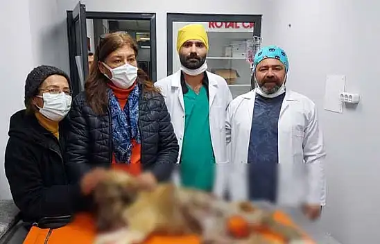 Onlar yaşattı sırada bakıcı aile bulmak var