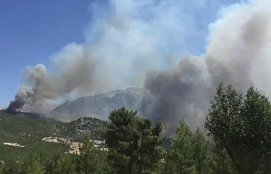 Seydikemer 'Çökek, Dere ve Bayır' Yangını Kontrol altına alındı