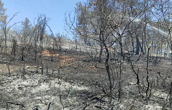 Seydikemer'deki yangınlar kontrol altına alındı