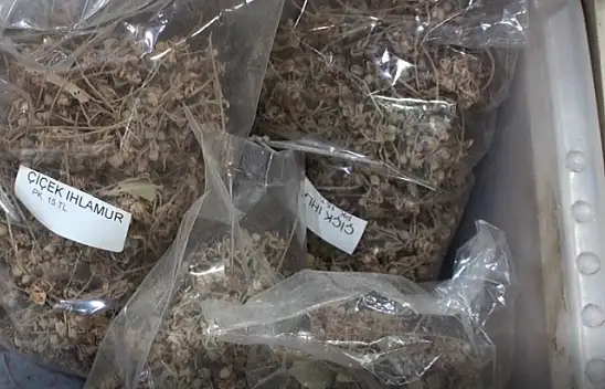 Topçu, 'Bitki çayları kararında tüketilmelidir'