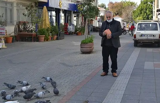 Tütüncünün hayvan sevgisi