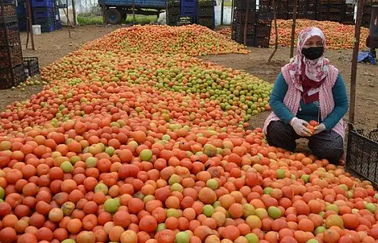 Üretici 'Girdilerdeki ÖTV kaldırılsın'