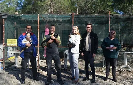 Üzümlü'de sokak hayvanlarına sahip çıktılar