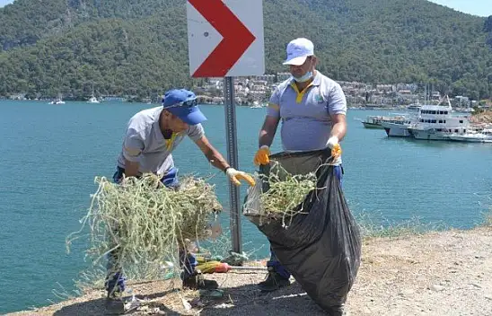 Yarımada'da bayram sonrası temizliği