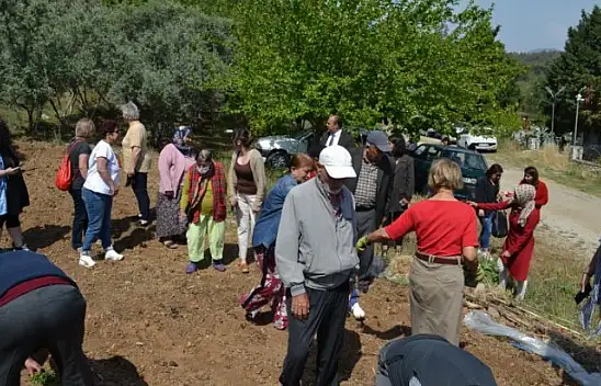 Yaşlılar fidan dikti