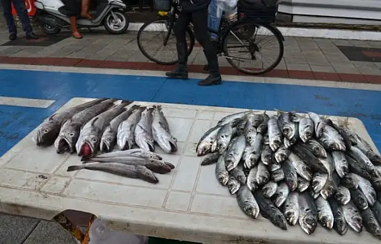 Yazın turizmci kışın balıkçı