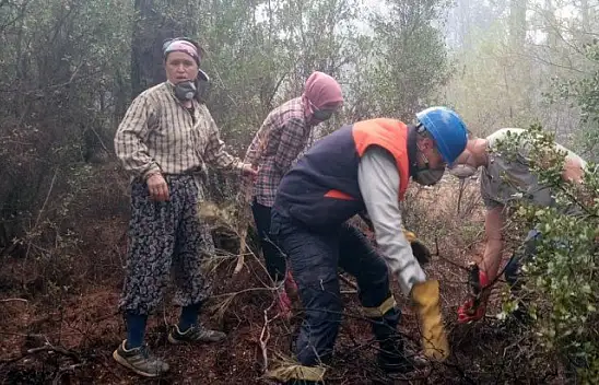 Yeşil Vatan'ın 'Nene Hatunları'