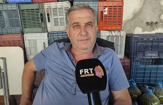 Zeytin Hasat Zamanı Başladı