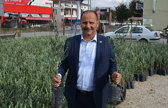 Ziraat Odası'ndan Zeytin Satışı