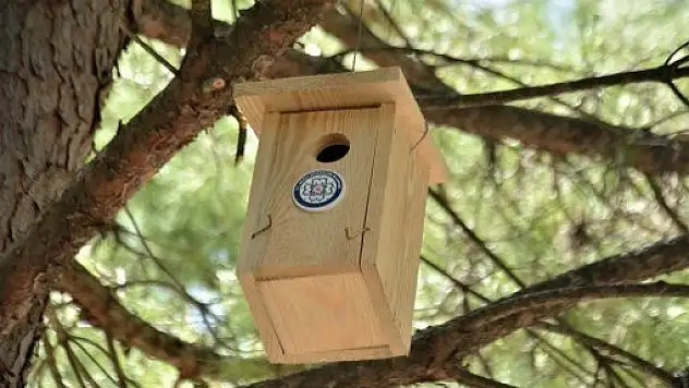 24.05.2018 Muğla'nın Kuşlarına Büyükşehir Güvencesi