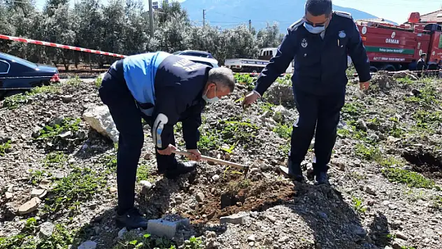 ADD fidan dikme etkinliği gerçekleştirdi