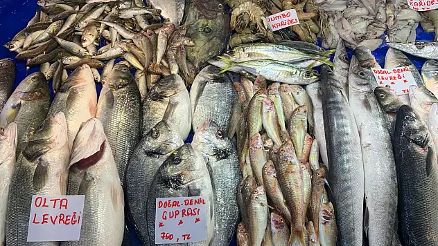 Av Yasağı Tezgahta Etkisini Gösterdi