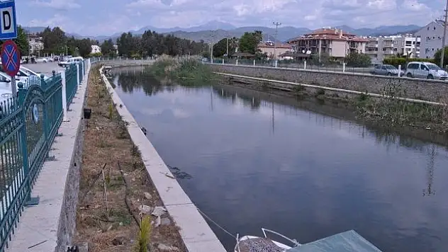 Çalış Kanal Boyu Ağaçlandırılıyor