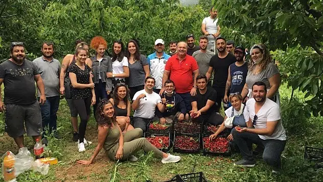 CHP'den kiraz etkinliği 