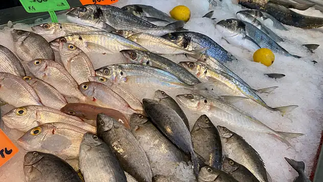 Doğan Seafood, kaliteli balığın tek adresi