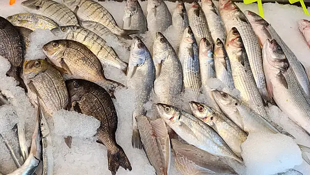 Fethiye'de balığa yoğun ilgi turistten