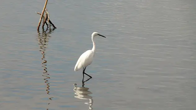 FETHİYE'DE DENİZ SUYU ÇEKİLDİ