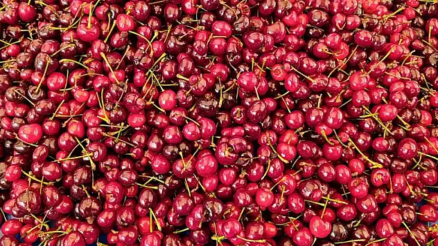 Fethiye Pazarı'nda meyve fiyatları yüksek, esnaf okul tatilini bekliyor