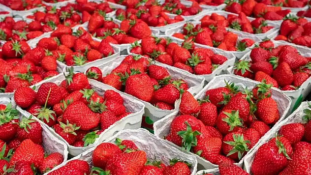 Fethiye Salı Pazarı'nda çileğin kilosu 150 lira!