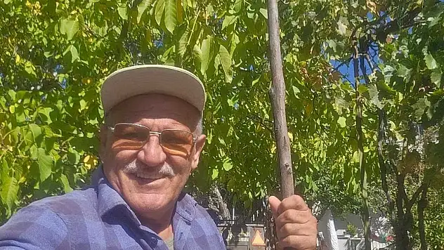 Fethiye yaylalarında ceviz hasadı başladı