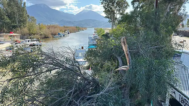 Fırtına etkili oldu: Çalış'ta tabelalar uçtu, ağaçlar kırıldı