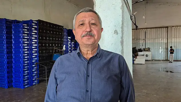 Halcilerinden Yeni Hal Yasası ve Domates Fiyatları Açıklaması