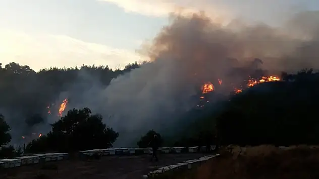 İtfaiye ekipleri yangını söndürdü