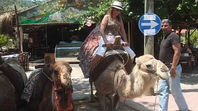 KAYAKÖY'DE  FAYTON VE DEVE İLE SAFARİ…