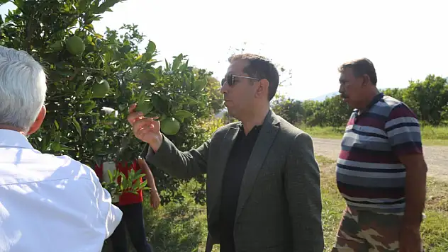 Kaymakam Aktaş, limon hasadı yapan işçilerle bir araya geldi