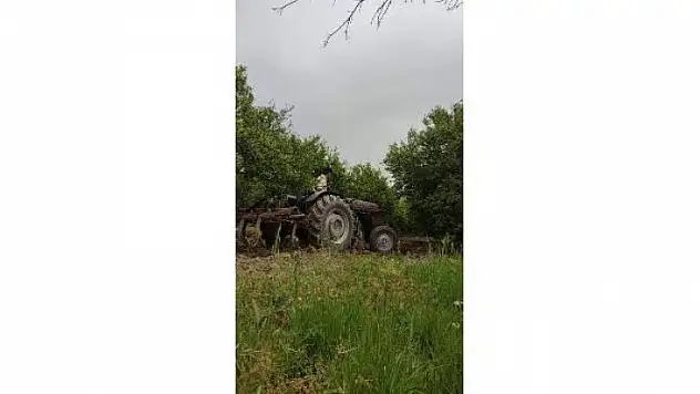 Köyceğiz'de narenciye bahçelerinde bakım çalışmaları sürüyor