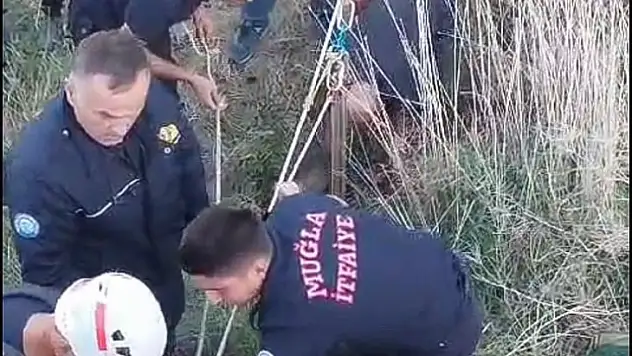 Kuyuya düşen kurt köpeği kurtarıldı