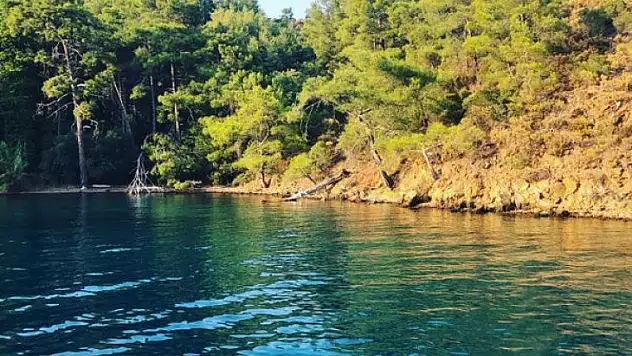 MAPA VE ŞAMANDIRA İHALESİ ESKİ VEKİLİN