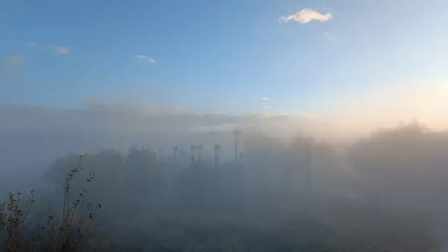 Milas'ta Sis Etkili Oldu