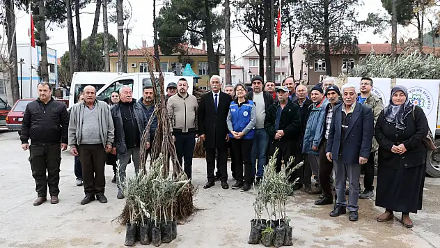 Muğla Büyükşehir'den Ula'da Üreticiye Zeytin ve Ceviz Fidanı Desteği