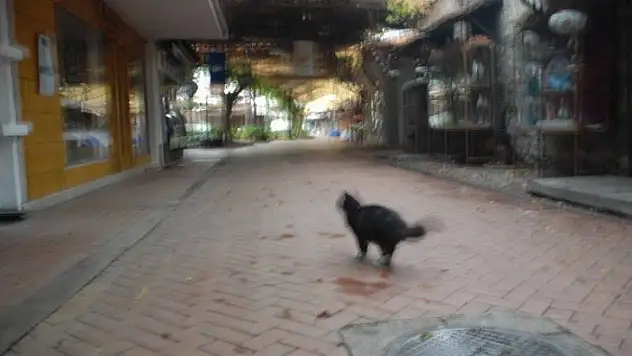 Tarihi Paspatur Çarşısı sessizliğe büründü