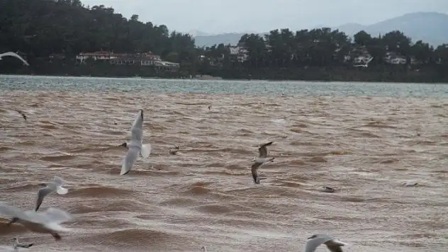 Yağış sonrası denizin rengi değişti