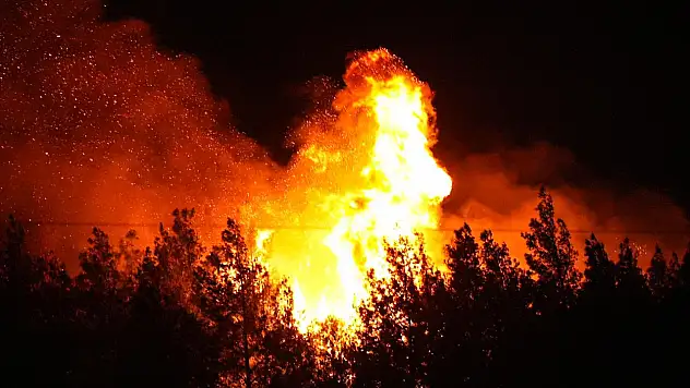 Yangının Faturası Ağır Oldu