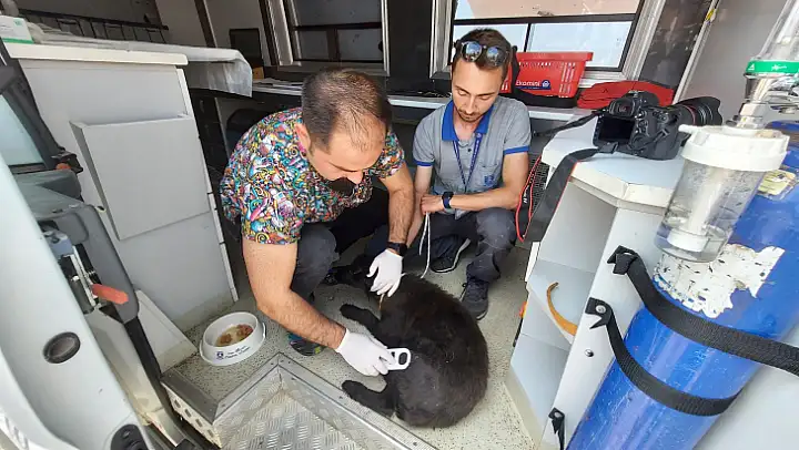 Çocuklara Bilinçlendirme Eğitimi