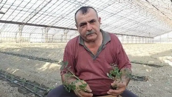 İSYAN ETTİLER