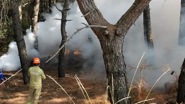 144 personelle orman yangını tatbikatı