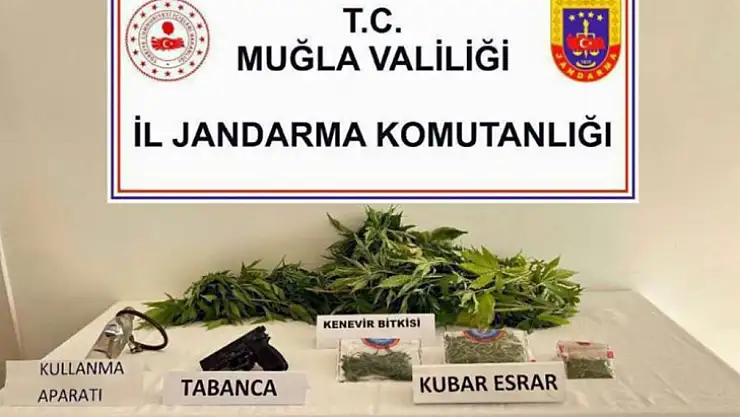 147 ayrı adrese operasyon düzenlendi